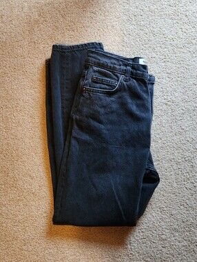 Reformation Cynthia High-Rise Jeans, Seine Wash, Size 26"